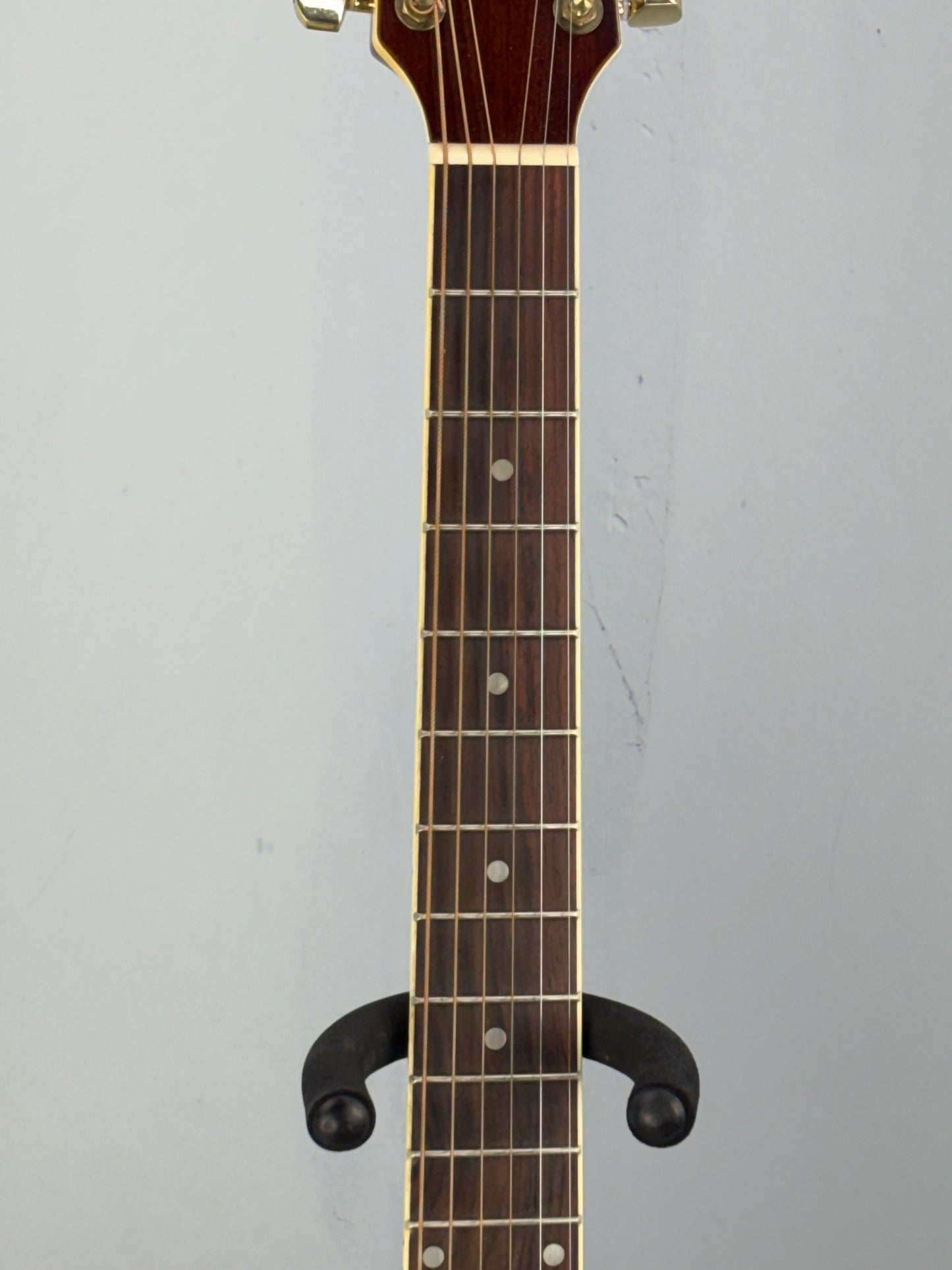 Jay Turser JTAC-50EQ Acoustic-Electric Cutaway Guitar w/ Brand New Great Divide Gig Bag