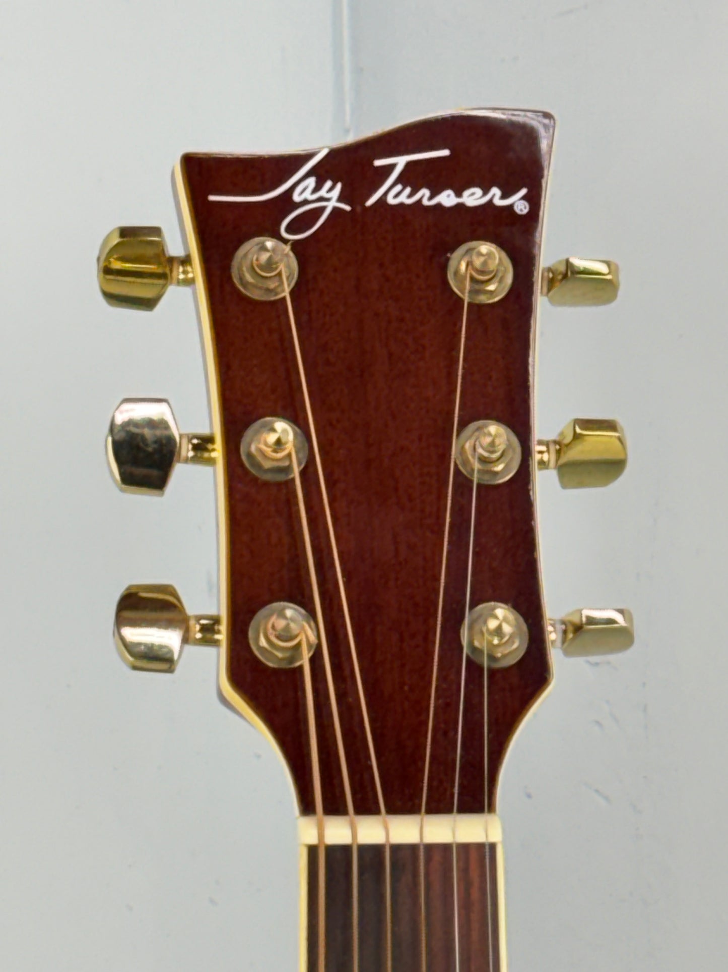 Jay Turser JTAC-50EQ Acoustic-Electric Cutaway Guitar w/ Brand New Great Divide Gig Bag