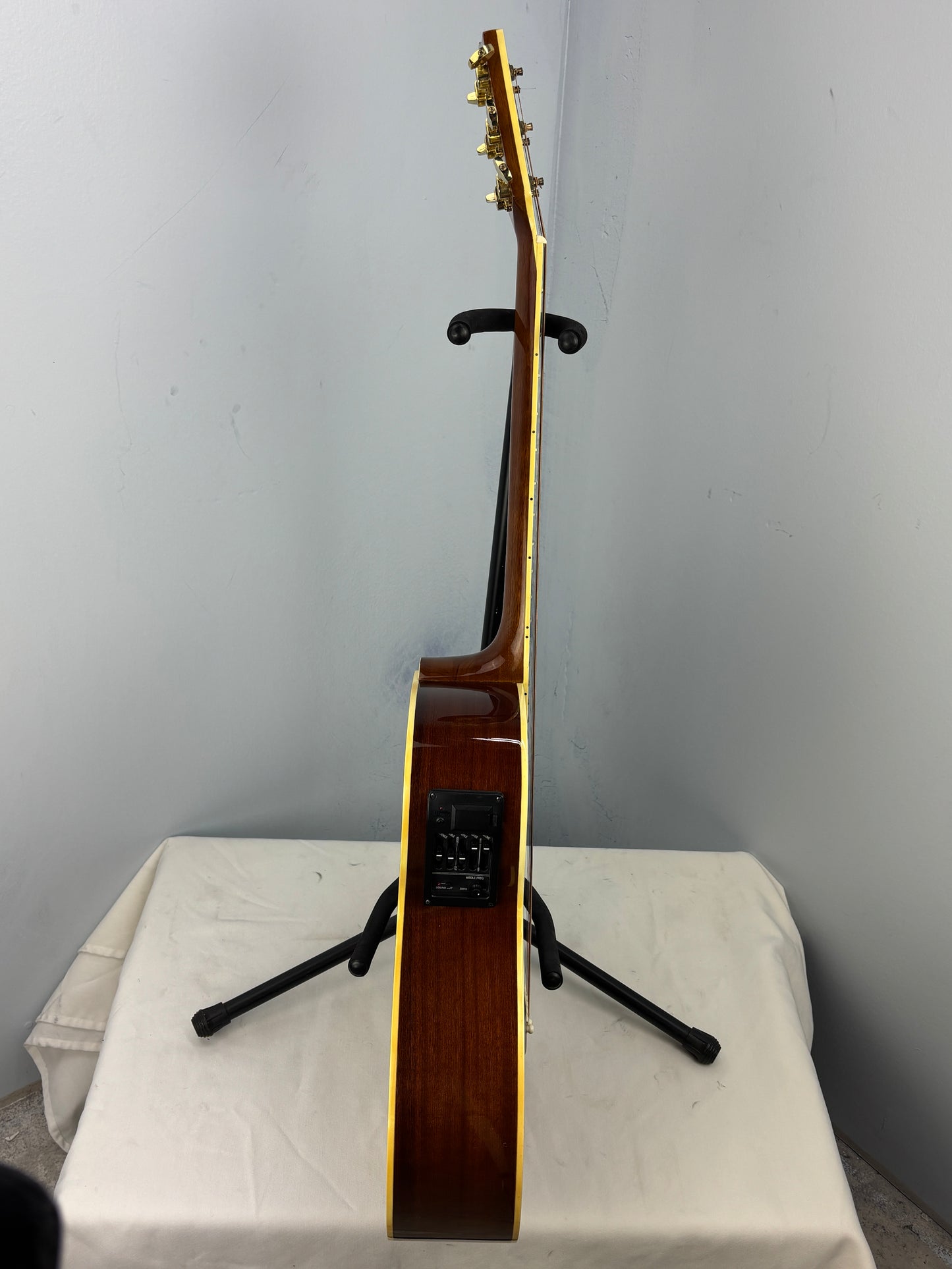 Jay Turser JTAC-50EQ Acoustic-Electric Cutaway Guitar w/ Brand New Great Divide Gig Bag