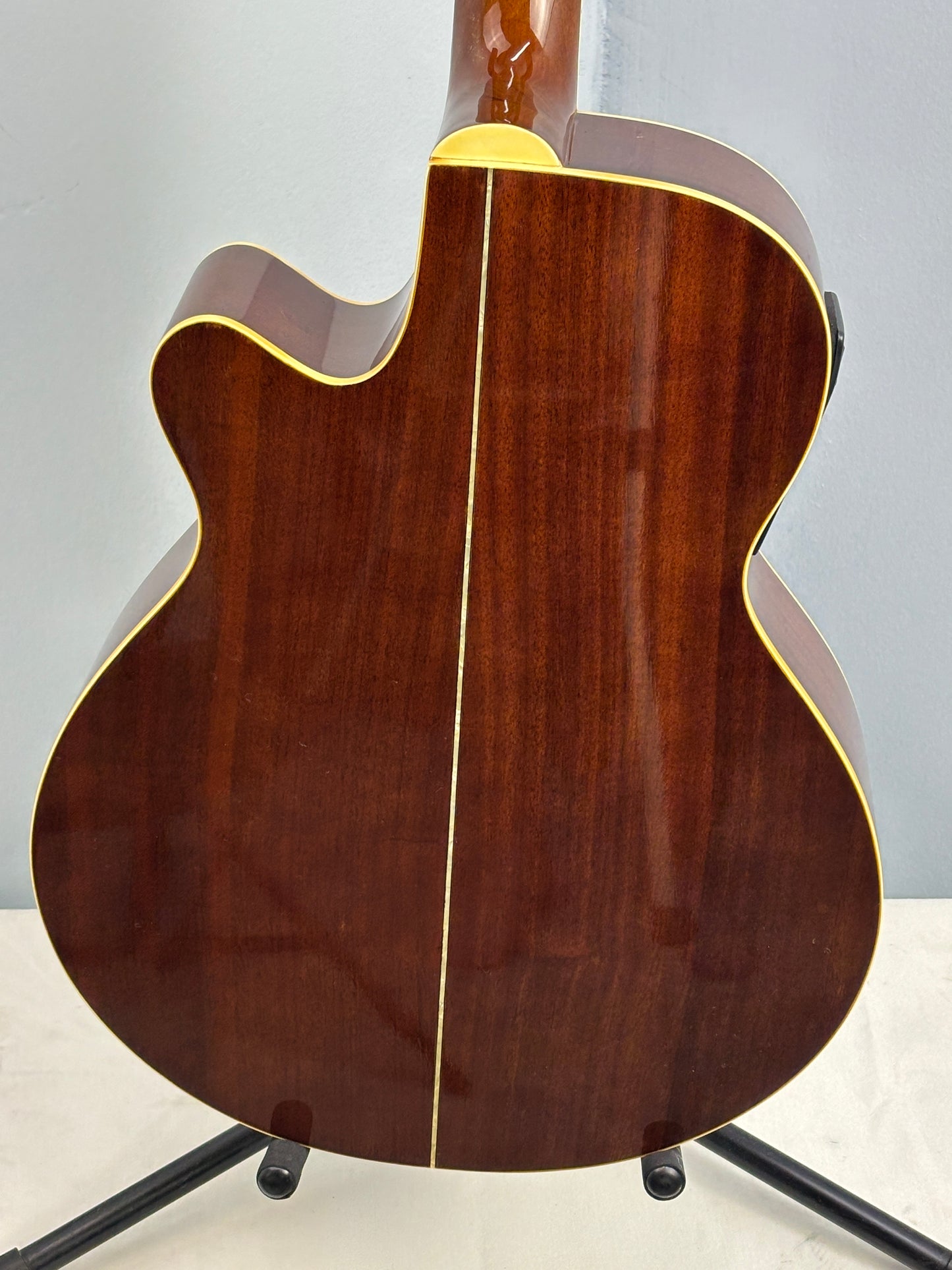 Jay Turser JTAC-50EQ Acoustic-Electric Cutaway Guitar w/ Brand New Great Divide Gig Bag