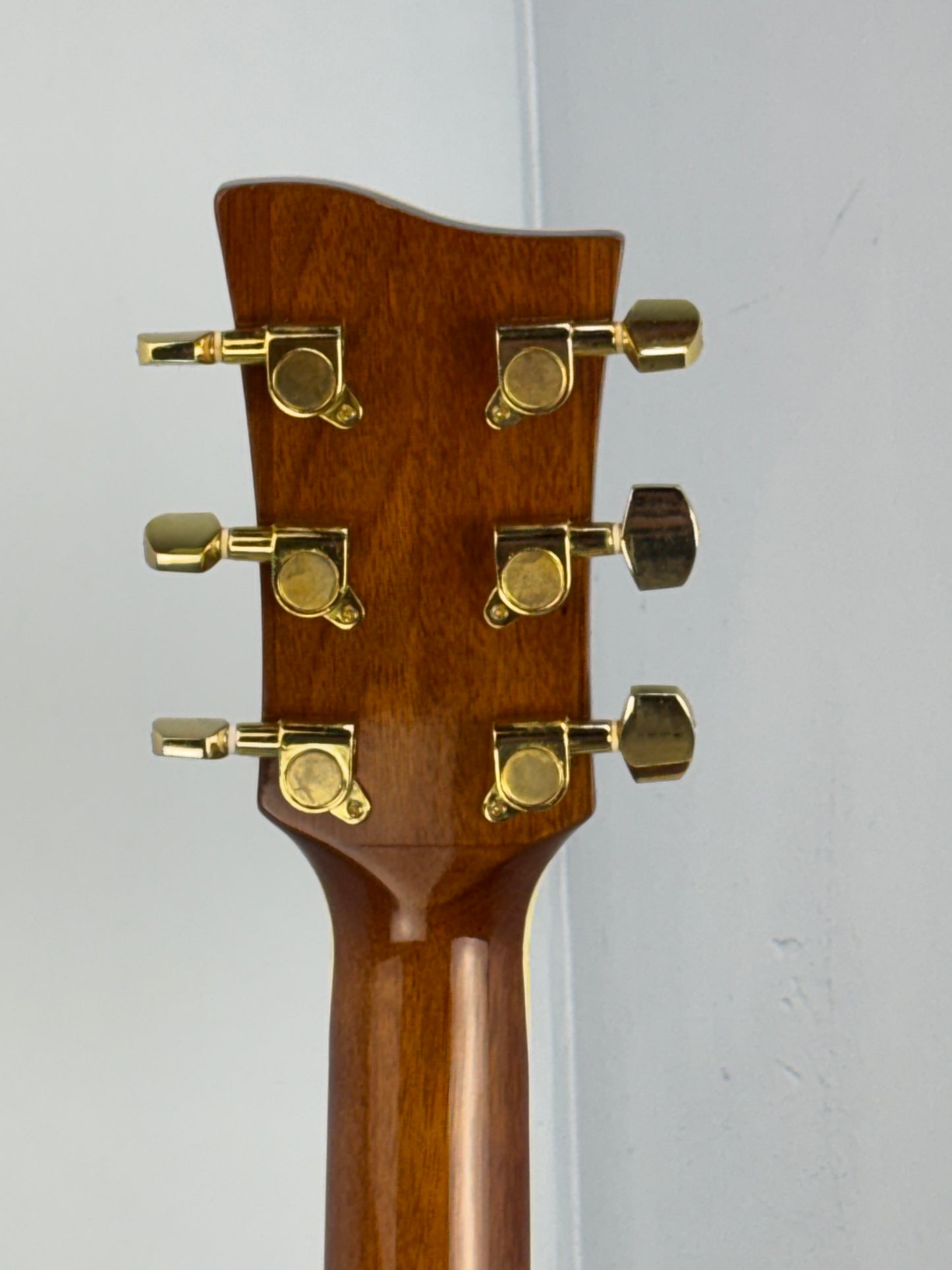 Jay Turser JTAC-50EQ Acoustic-Electric Cutaway Guitar w/ Brand New Great Divide Gig Bag