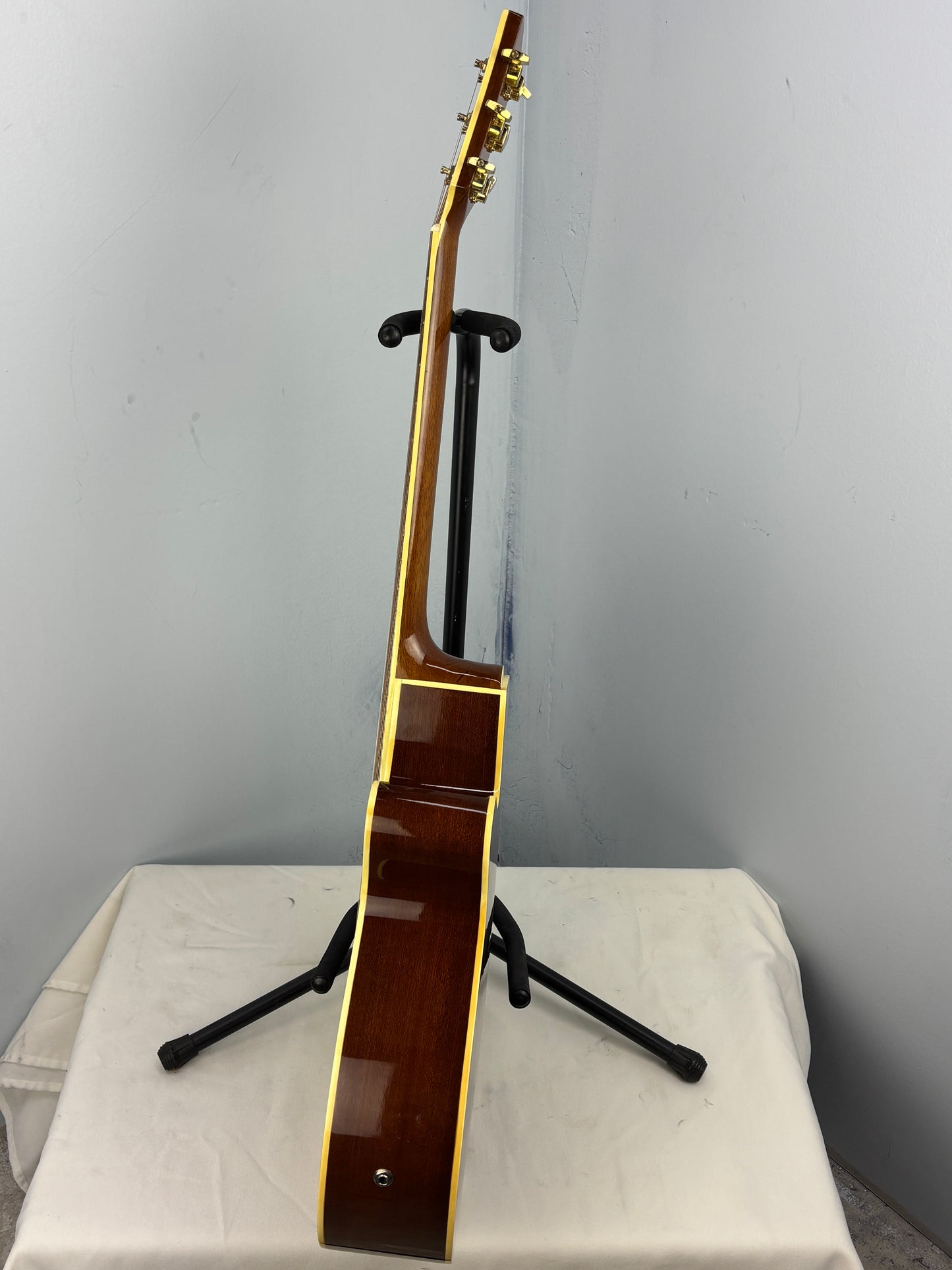 Jay Turser JTAC-50EQ Acoustic-Electric Cutaway Guitar w/ Brand New Great Divide Gig Bag