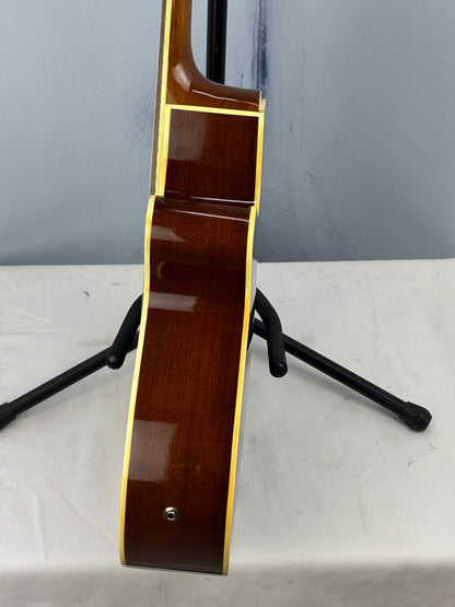 Jay Turser JTAC-50EQ Acoustic-Electric Cutaway Guitar w/ Brand New Great Divide Gig Bag