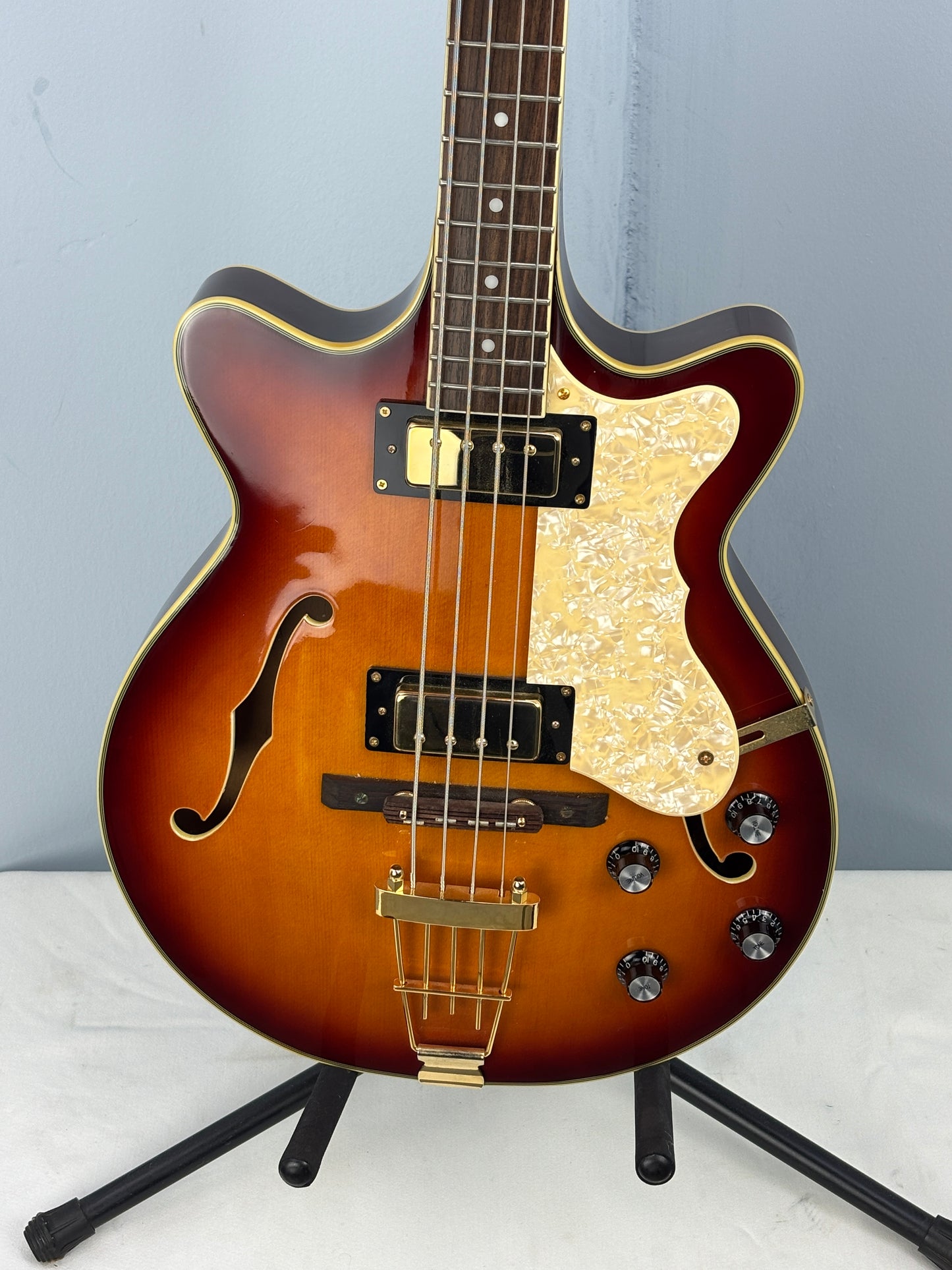 Jay Turser Hollow Body Electric Bass Guitar w/ Hardshell Case – Tobacco Sunburst