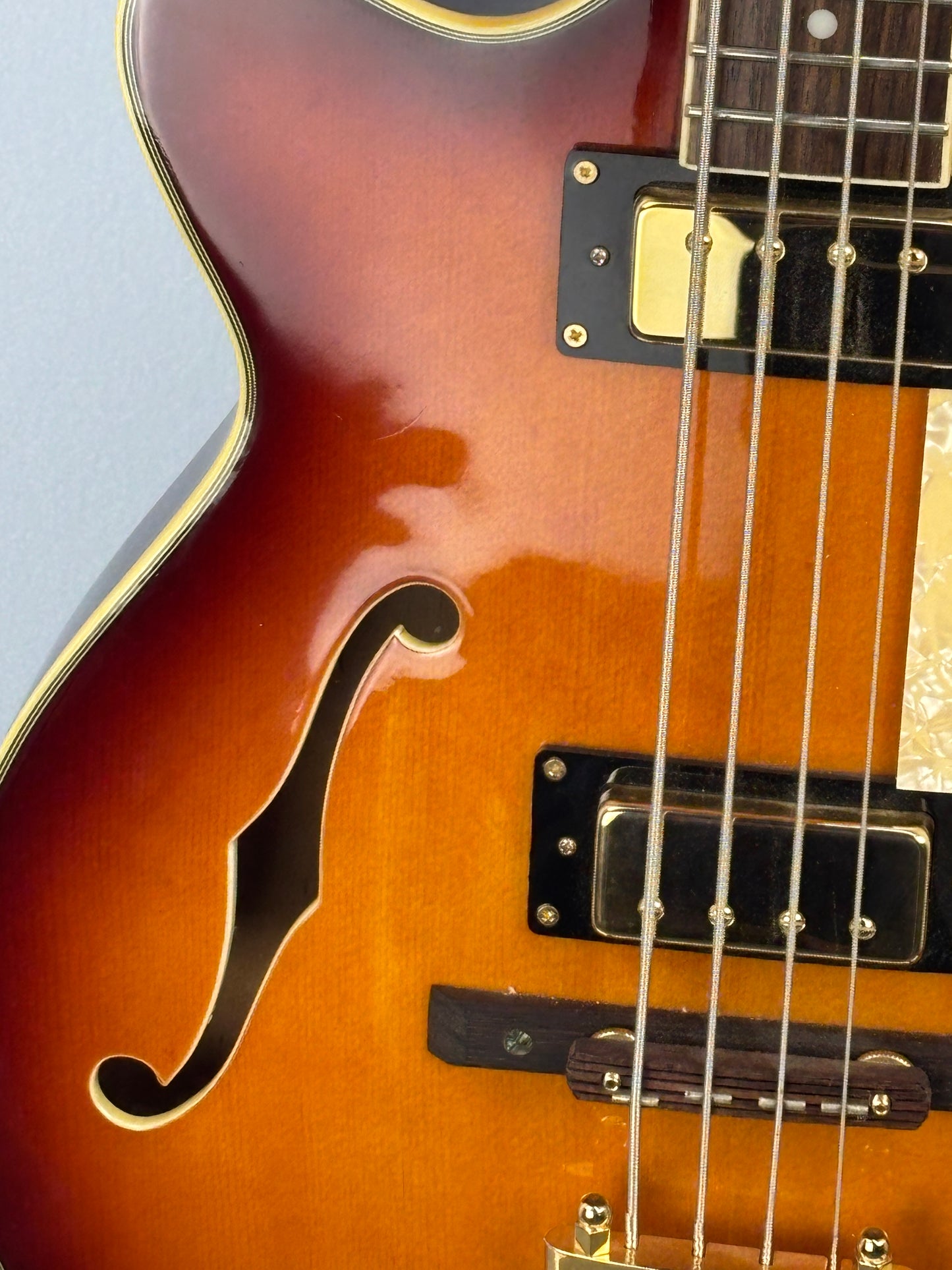 Jay Turser Hollow Body Electric Bass Guitar w/ Hardshell Case – Tobacco Sunburst
