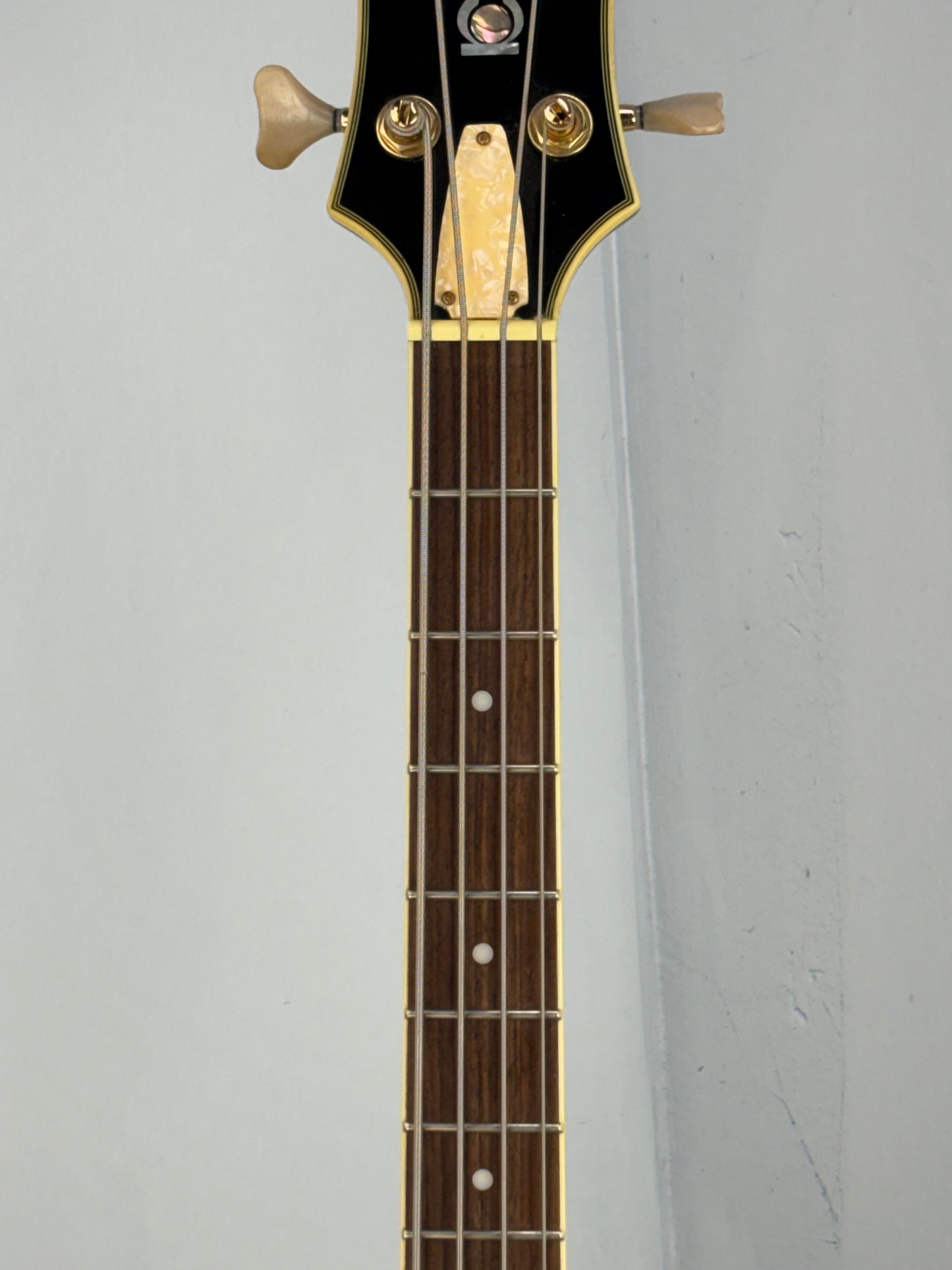 Jay Turser Hollow Body Electric Bass Guitar w/ Hardshell Case – Tobacco Sunburst