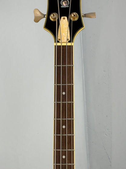 Jay Turser Hollow Body Electric Bass Guitar w/ Hardshell Case – Tobacco Sunburst