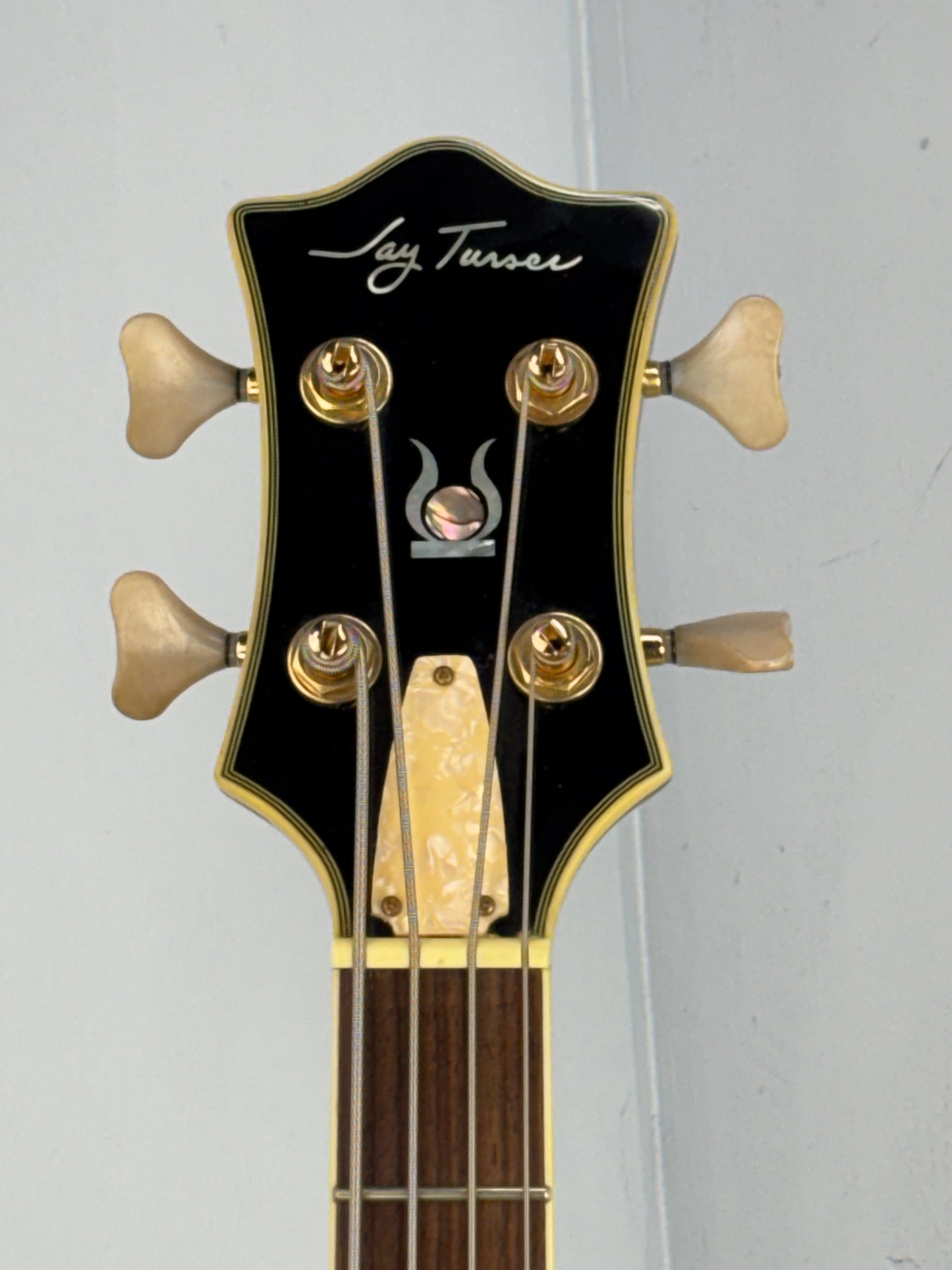 Jay Turser Hollow Body Electric Bass Guitar w/ Hardshell Case – Tobacco Sunburst