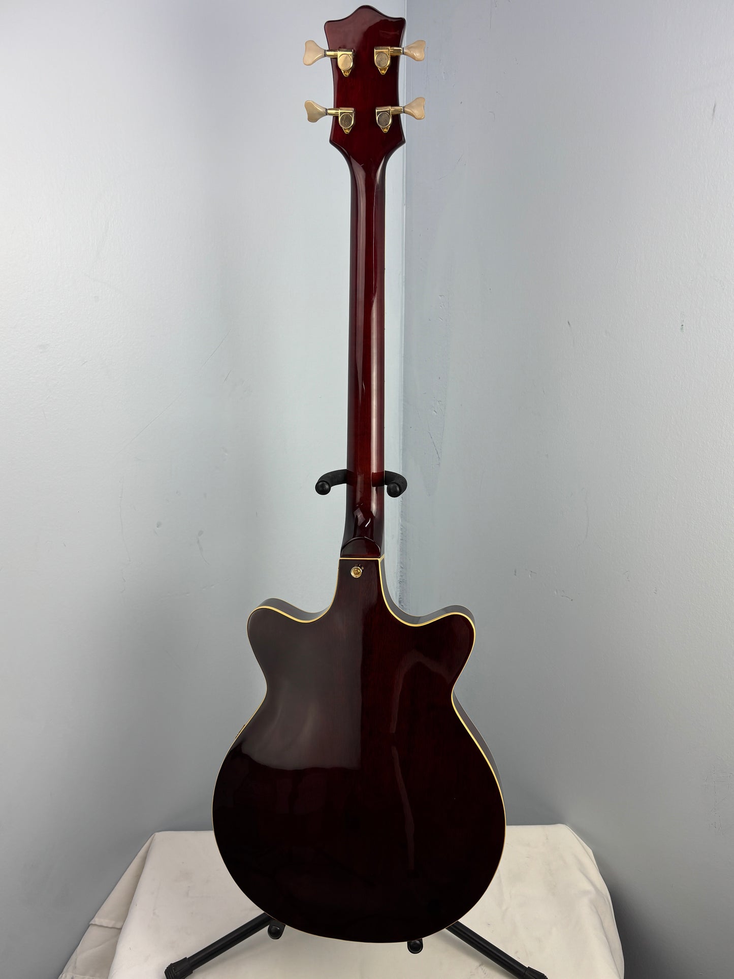 Jay Turser Hollow Body Electric Bass Guitar w/ Hardshell Case – Tobacco Sunburst