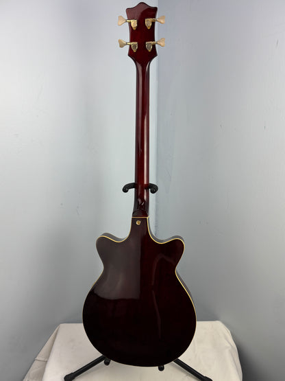 Jay Turser Hollow Body Electric Bass Guitar w/ Hardshell Case – Tobacco Sunburst