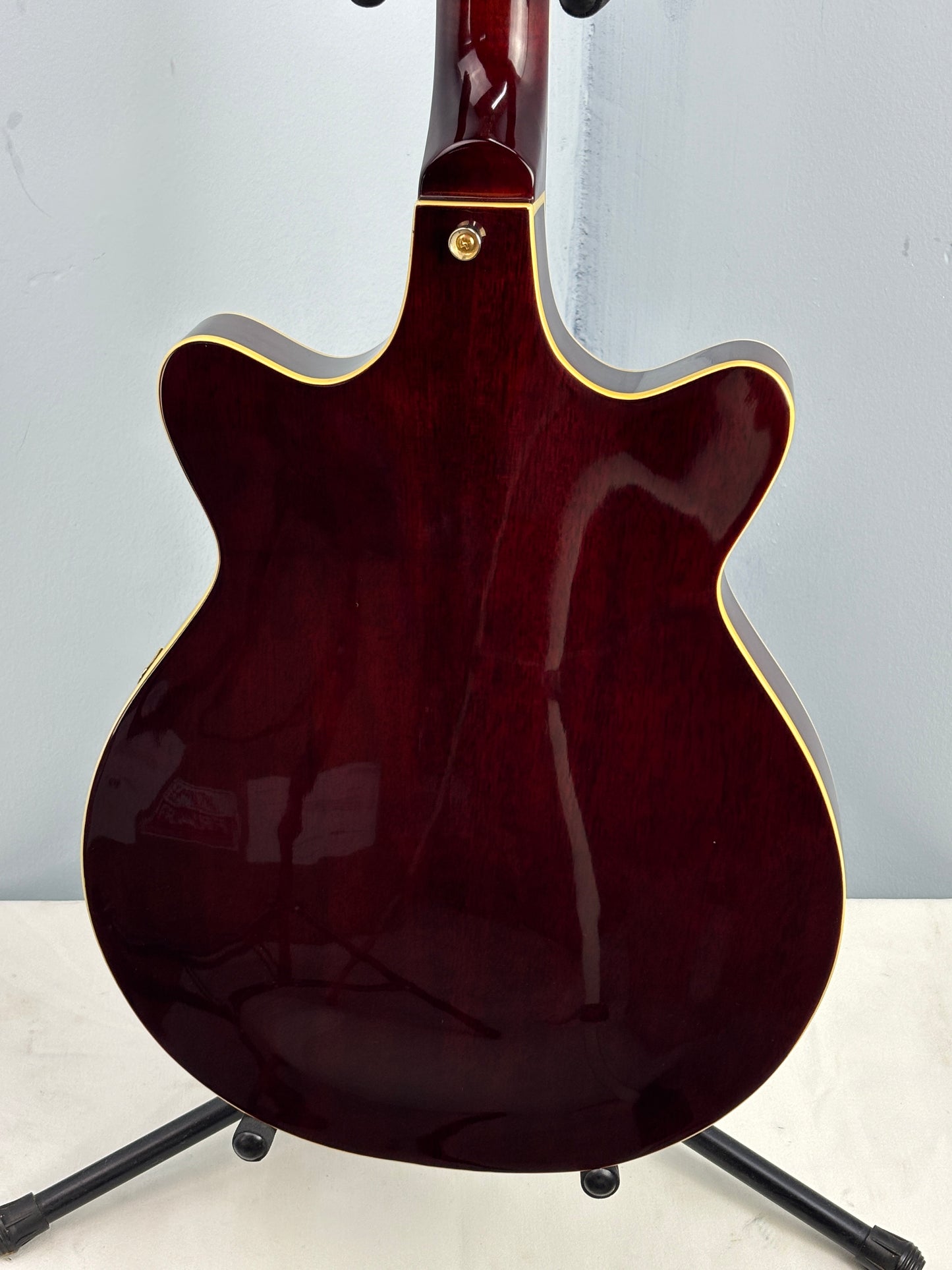Jay Turser Hollow Body Electric Bass Guitar w/ Hardshell Case – Tobacco Sunburst