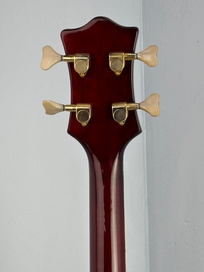 Jay Turser Hollow Body Electric Bass Guitar w/ Hardshell Case – Tobacco Sunburst