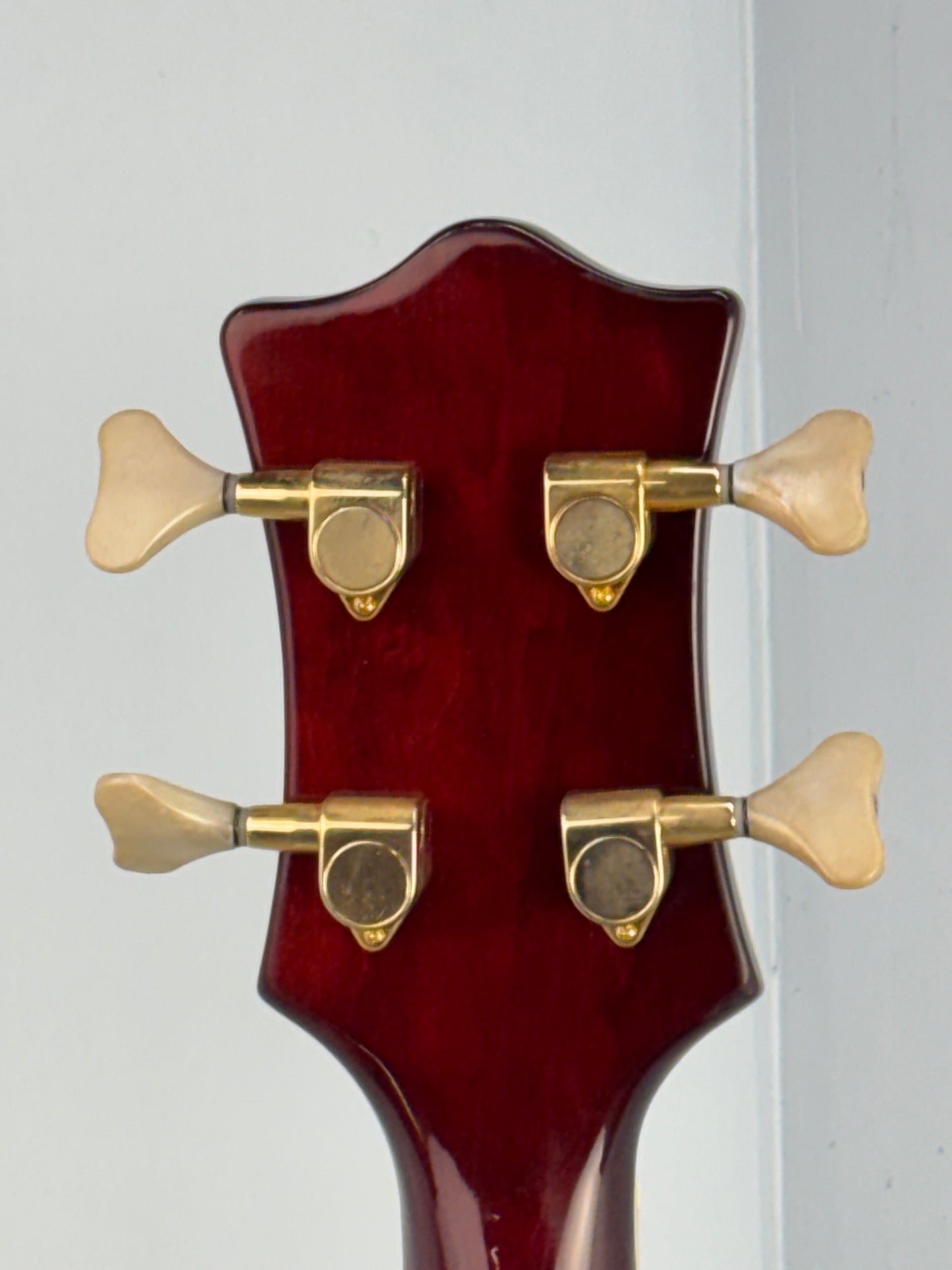 Jay Turser Hollow Body Electric Bass Guitar w/ Hardshell Case – Tobacco Sunburst
