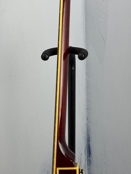 Jay Turser Hollow Body Electric Bass Guitar w/ Hardshell Case – Tobacco Sunburst