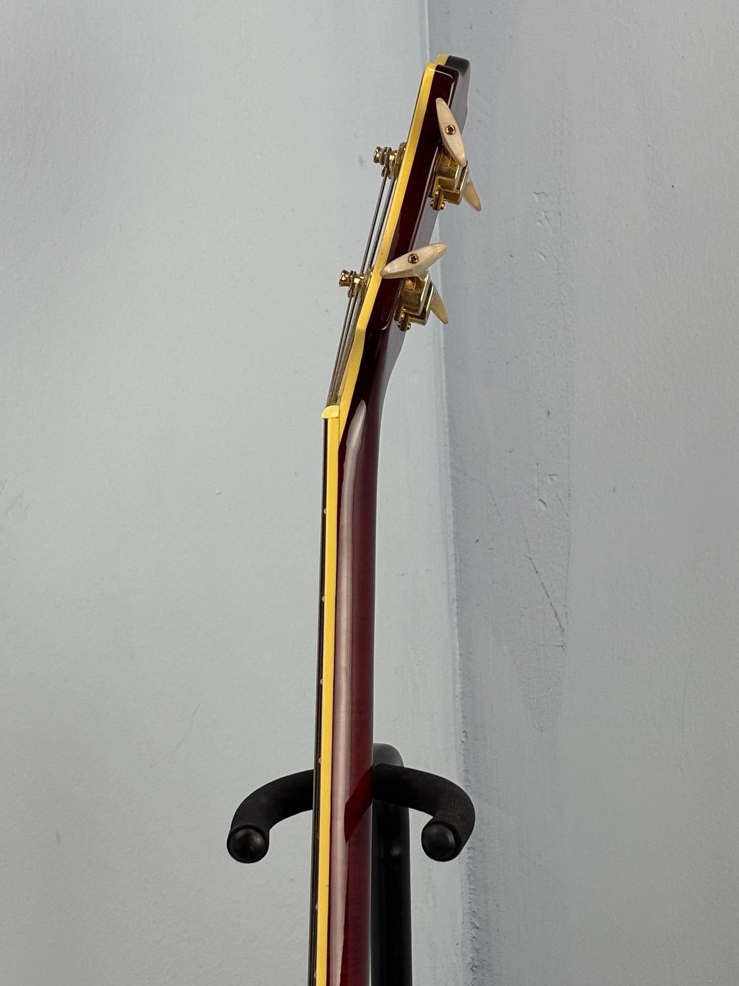 Jay Turser Hollow Body Electric Bass Guitar w/ Hardshell Case – Tobacco Sunburst