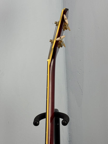 Jay Turser Hollow Body Electric Bass Guitar w/ Hardshell Case – Tobacco Sunburst