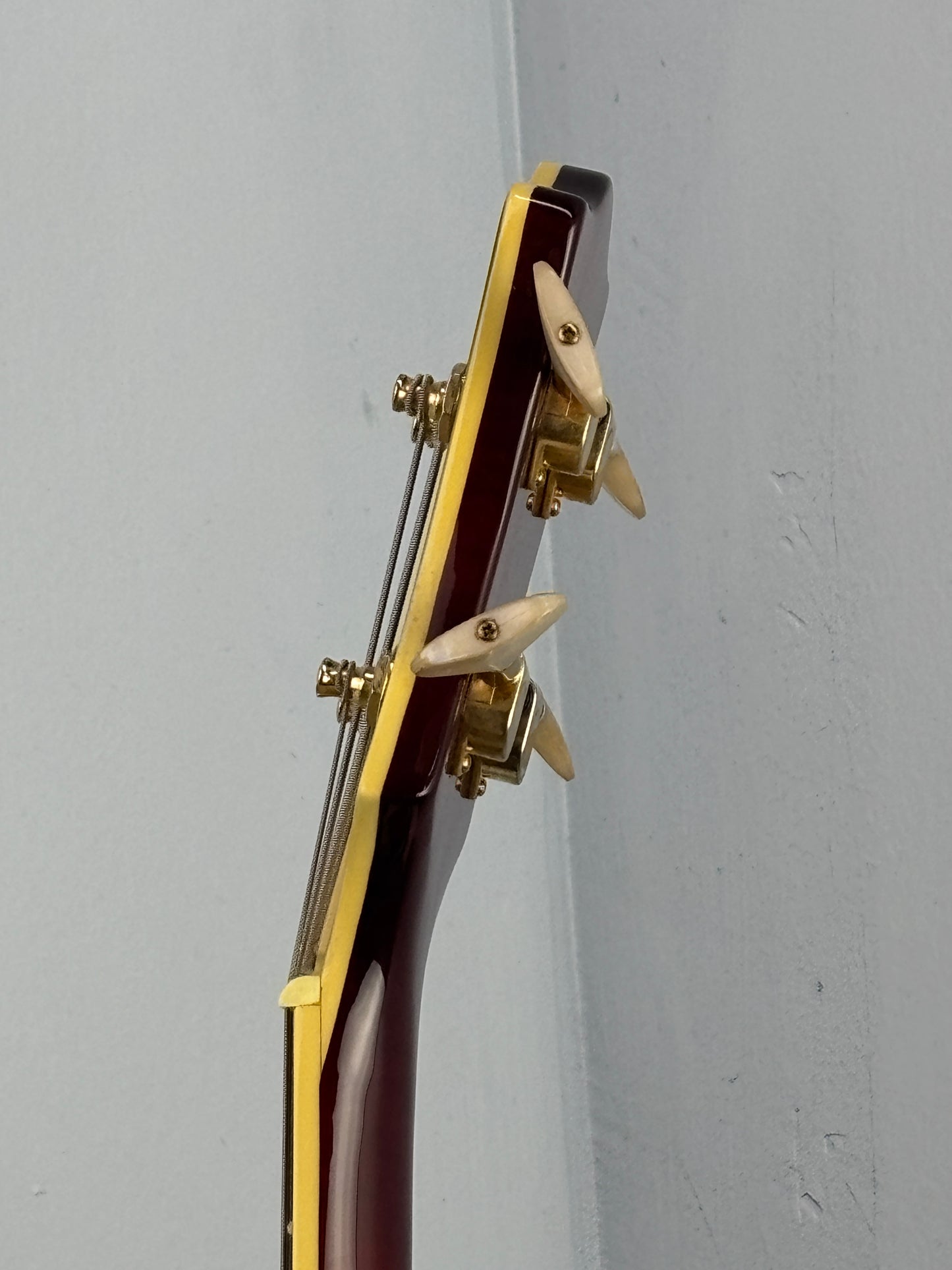 Jay Turser Hollow Body Electric Bass Guitar w/ Hardshell Case – Tobacco Sunburst