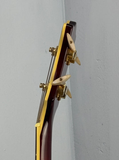 Jay Turser Hollow Body Electric Bass Guitar w/ Hardshell Case – Tobacco Sunburst